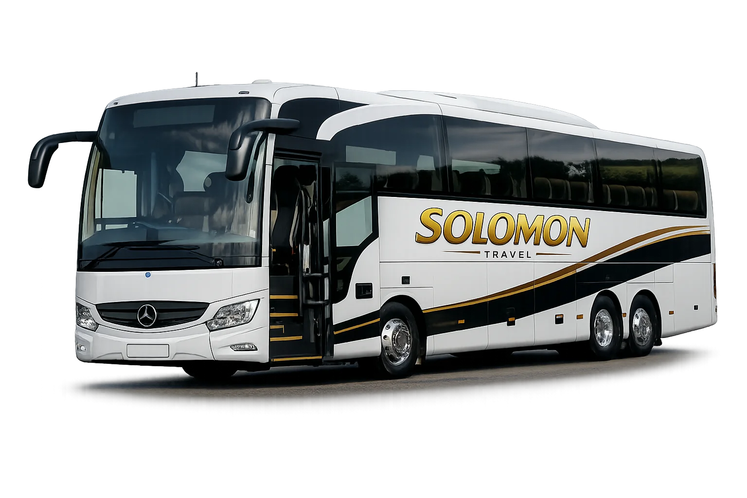 Solomon Travel executive coach